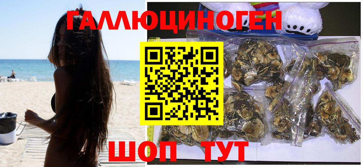 Богородск  Псилоцибиновые грибы мицелий  Вход с VPN 