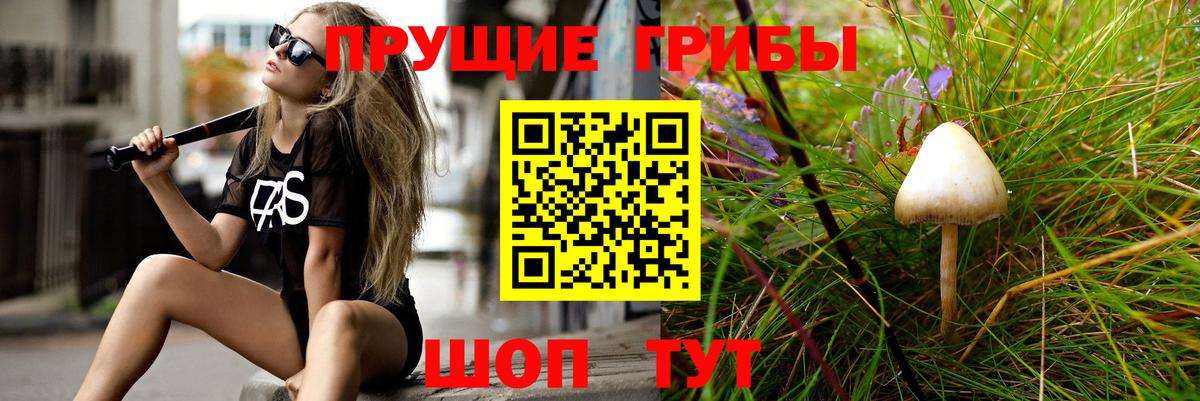 Псилоцибиновые грибы MAGIC MUSHROOMS Богородск